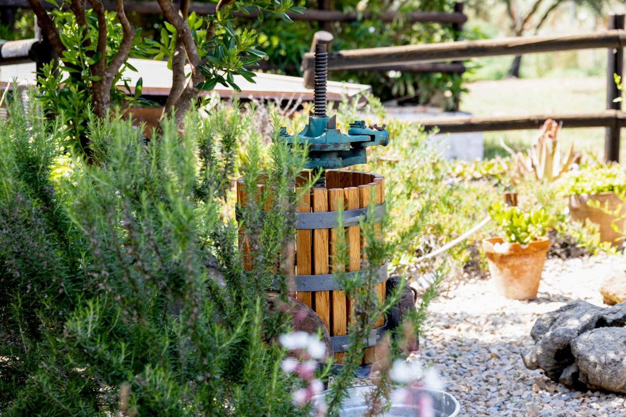 Villa Saige , Piscina Con Idromassaggio Alghero