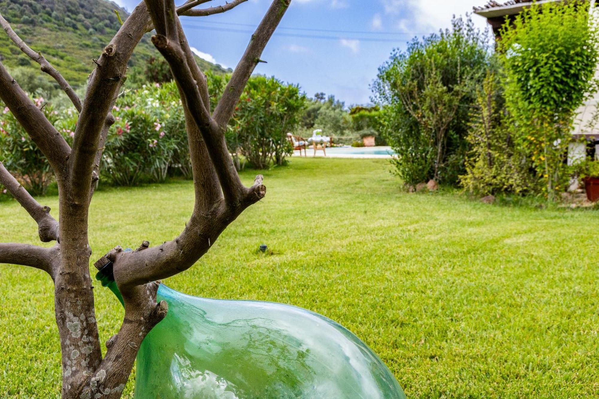 Saige , Piscina Con Idromassaggio Villa Alghero